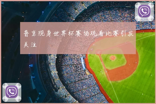 普京现身世界杯赛场观看比赛引发关注