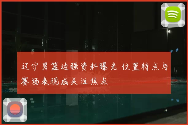 辽宁男篮边强资料曝光 位置特点与赛场表现成关注焦点