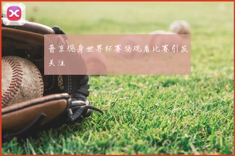 普京现身世界杯赛场观看比赛引发关注