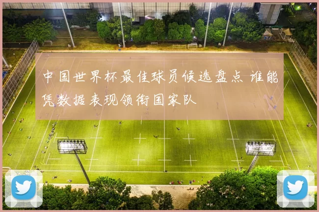 中国世界杯最佳球员候选盘点 谁能凭数据表现领衔国家队