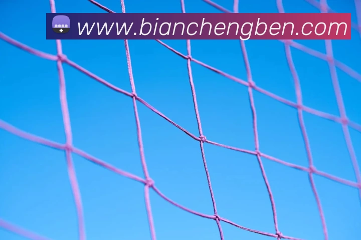 8868体育登陆APP下载(官网)进入全站App